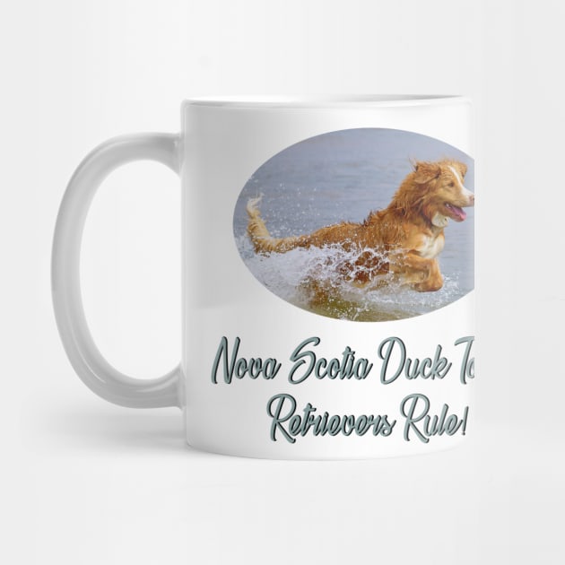 Nova Scotia Duck Tolling Retrievers Rule! by Naves